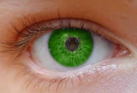 绿色的眼睛壁纸