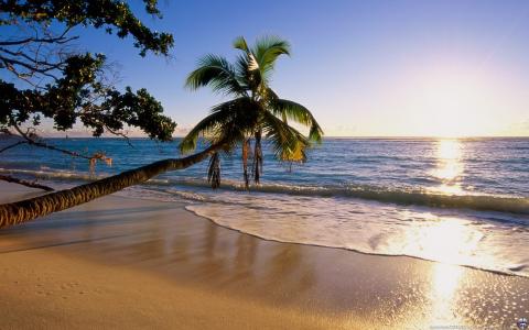 热带海滩日落壁纸