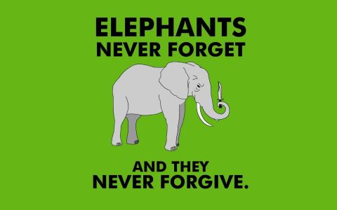 大象永远不会忘记壁纸