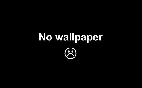 没有墙纸壁纸