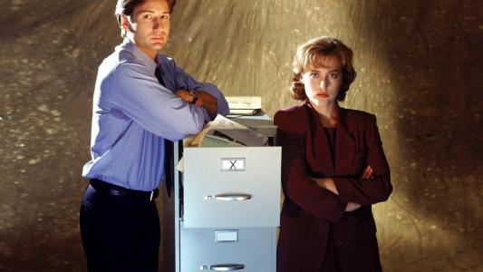 Fox Mulder和Dana Scully高清壁纸