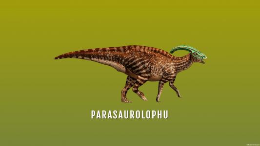 Parasaurolophus高清壁纸