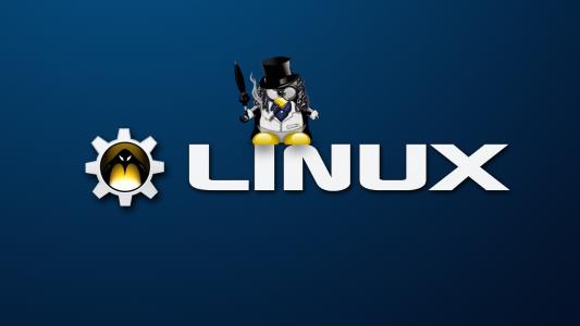 Linux  - 企鹅 -  02壁纸