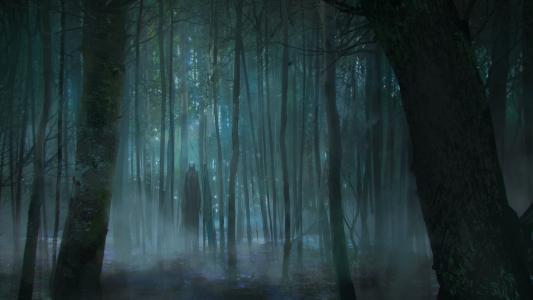 令人毛骨悚然的黑暗森林HD wallpaper