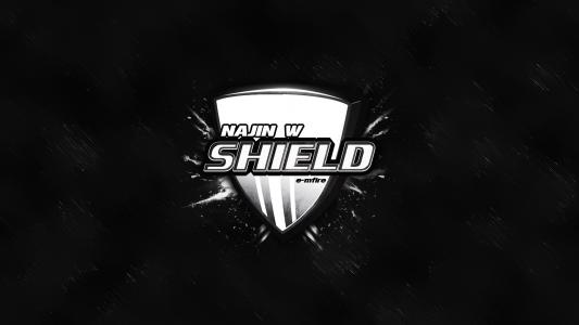 NaJin White Shield logo高清壁纸