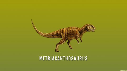Metriacanthosaurus高清壁纸