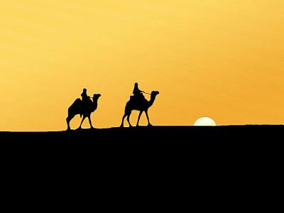 骆驼和日落壁纸