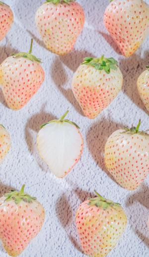 可口甜美的草莓