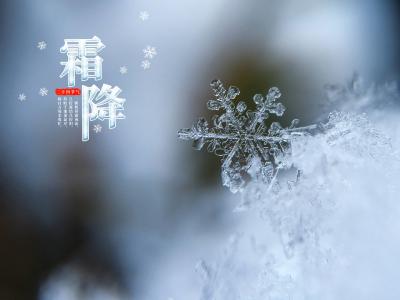 传统节气霜降雪花