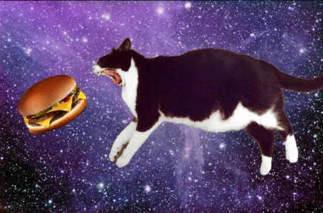 太空猫吃汉堡壁纸