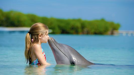 小女孩与海豚温馨时刻