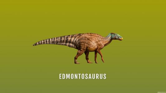 Edmontosaurus高清壁纸