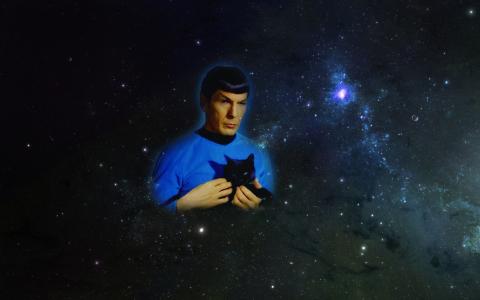 Spock壁纸