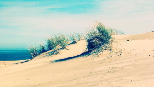海滩沙丘高清壁纸