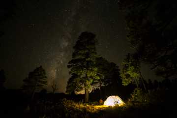 夜空下的野营图片