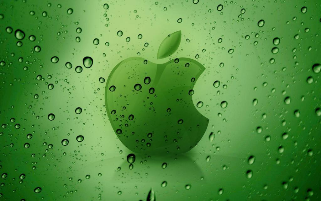 苹果11主题壁纸 绿色图片